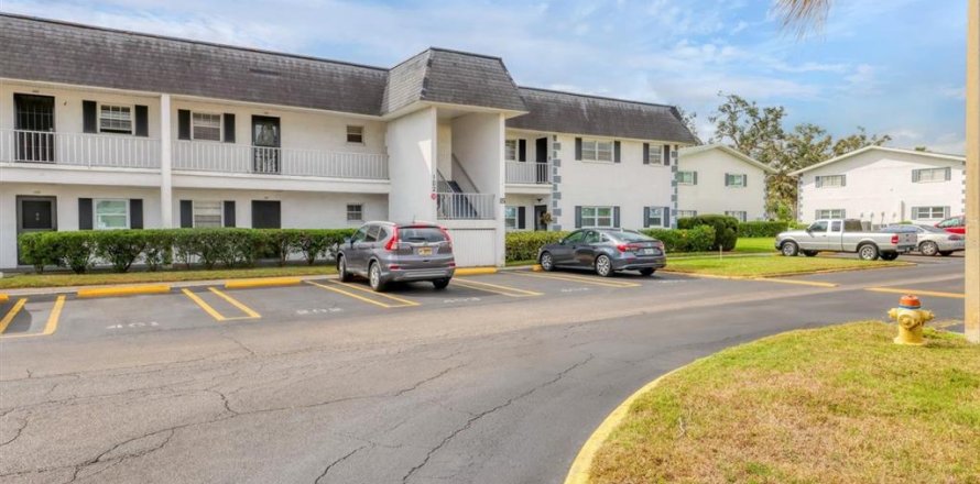 Condo in Bradenton, Florida, 1 bedroom  № 1565824