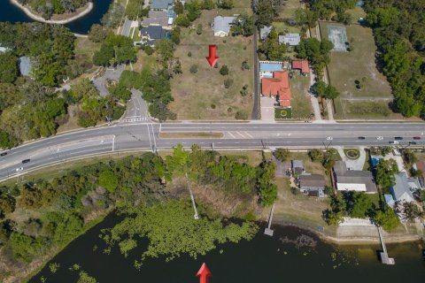 Land in Tampa, Florida № 2096616 - photo 10