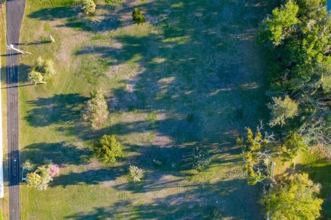Land in Tampa, Florida № 2096616 - photo 4