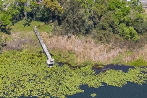 Land in Tampa, Florida № 2096616 - photo 14