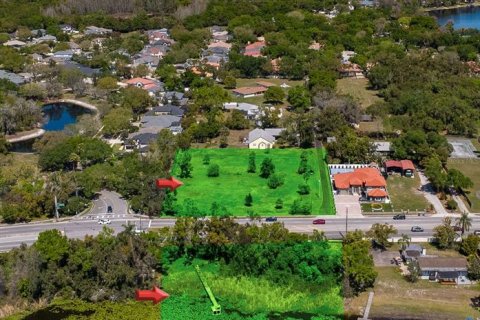Land in Tampa, Florida № 2096616 - photo 3