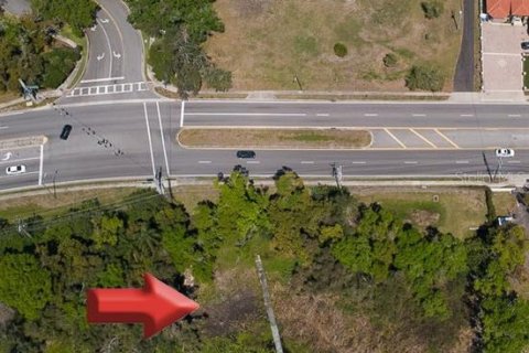 Land in Tampa, Florida № 2096616 - photo 17