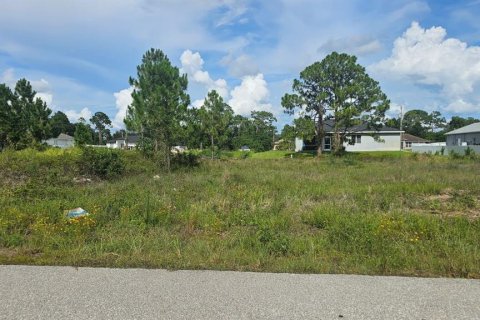 Terrain à vendre à Lehigh Acres, Floride № 2258256 - photo 4