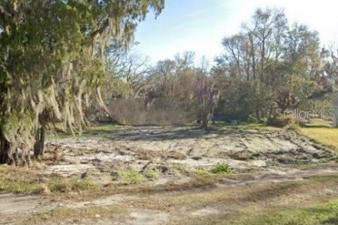 Land in Lakeland, Florida № 2396174