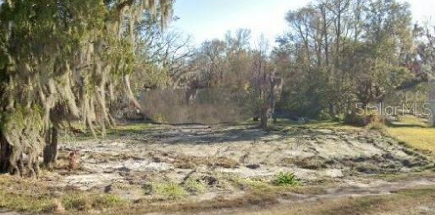 Land in Lakeland, Florida № 2396174