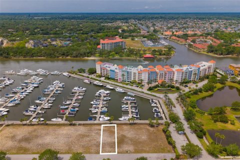 Terreno en venta en Palm Coast, Florida № 1740527 - foto 6