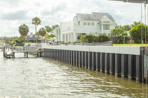 Land in Tampa, Florida № 2109616 - photo 7