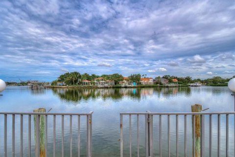 Land in Tampa, Florida № 2109616 - photo 3