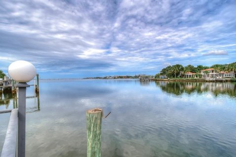 Land in Tampa, Florida № 2109616 - photo 5