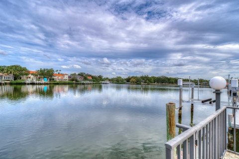 Land in Tampa, Florida № 2109616 - photo 4