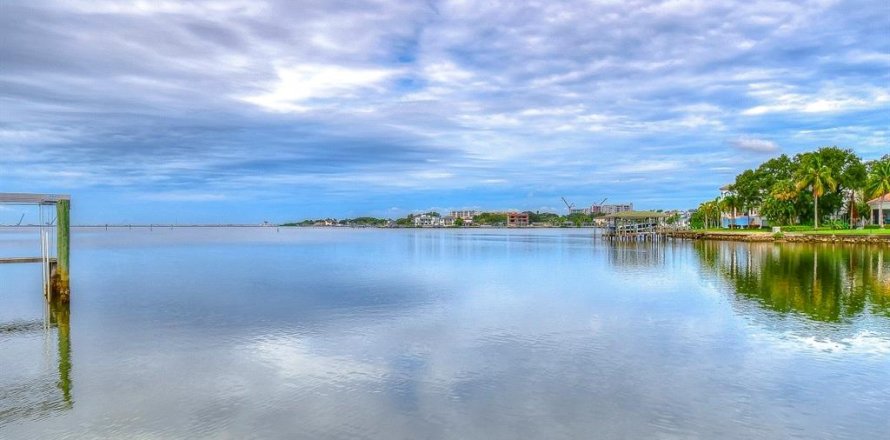 Land in Tampa, Florida № 2109616