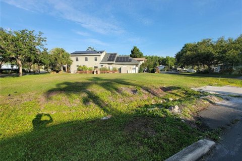 Terreno en venta en Lutz, Florida № 1740891 - foto 2