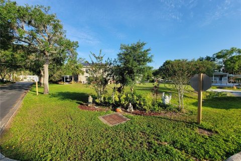 Terreno en venta en Lutz, Florida № 1740891 - foto 1