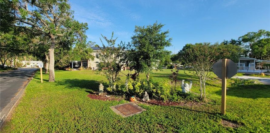 Terreno en Lutz, Florida № 1740891