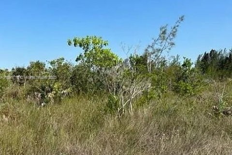 Land in Miami, Florida № 1943591 - photo 1