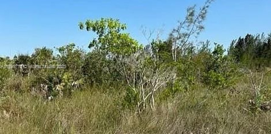 Land in Miami, Florida № 1943591