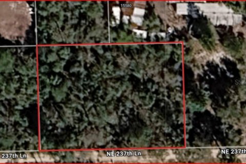 Terreno en Fort MC Coy, Florida № 2164057