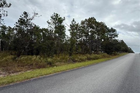 Land in Dunnellon, Florida № 2163599 - photo 6