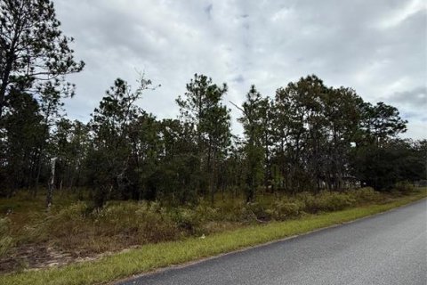 Land in Dunnellon, Florida № 2163599 - photo 5