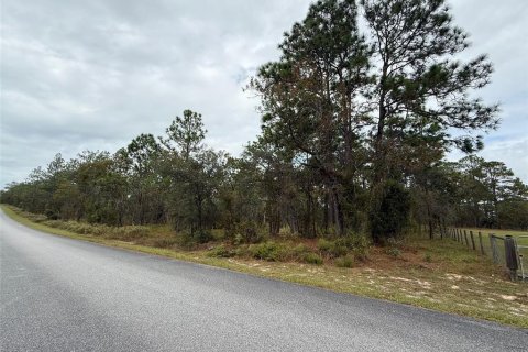 Land in Dunnellon, Florida № 2163599 - photo 2