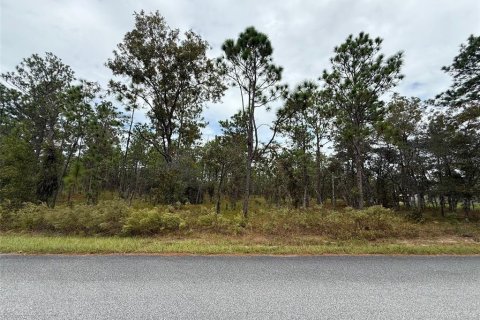 Terreno en Dunnellon, Florida № 2163599