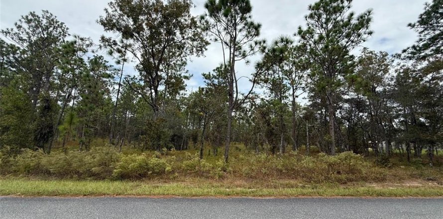 Land in Dunnellon, Florida № 2163599