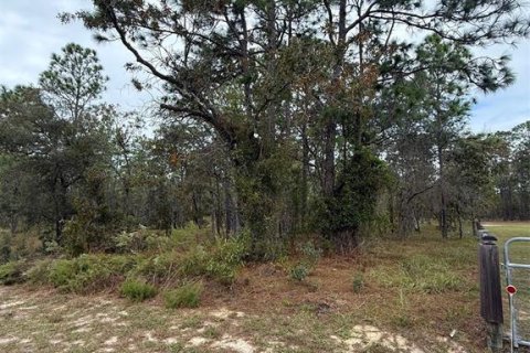 Land in Dunnellon, Florida № 2163599 - photo 4