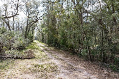 Villa ou maison à vendre à Branford, Floride: 1 chambre, 37.16 m2 № 1569577 - photo 13