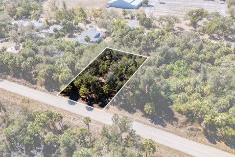 Land in Port Charlotte, Florida № 2163923 - photo 2