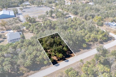 Land in Port Charlotte, Florida № 2163923