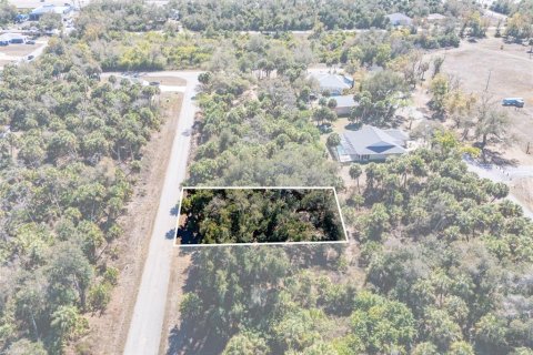Land in Port Charlotte, Florida № 2163923 - photo 4