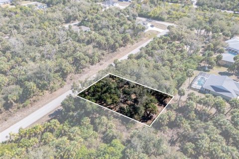 Land in Port Charlotte, Florida № 2163923 - photo 3