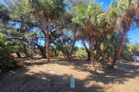 Land in Port Charlotte, Florida № 2163923 - photo 7