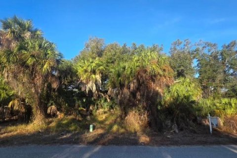 Land in Port Charlotte, Florida № 2163923 - photo 8
