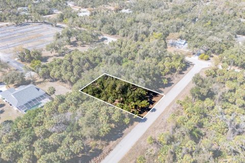 Land in Port Charlotte, Florida № 2163923 - photo 5