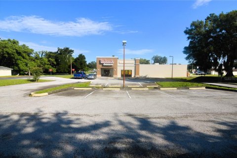 Immobilier commercial à vendre à Zephyrhills, Floride: 1105.54 m2 № 2329015 - photo 3