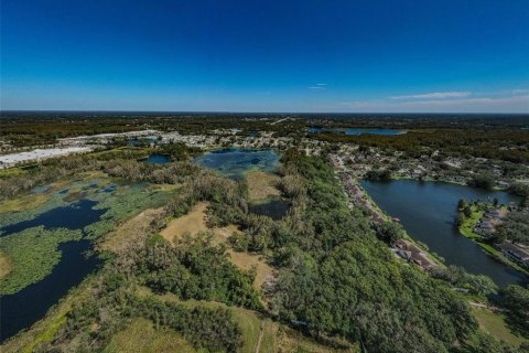 Terreno en venta en Lutz, Florida № 1421281 - foto 9