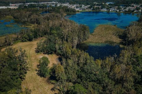 Terreno en venta en Lutz, Florida № 1421281 - foto 7