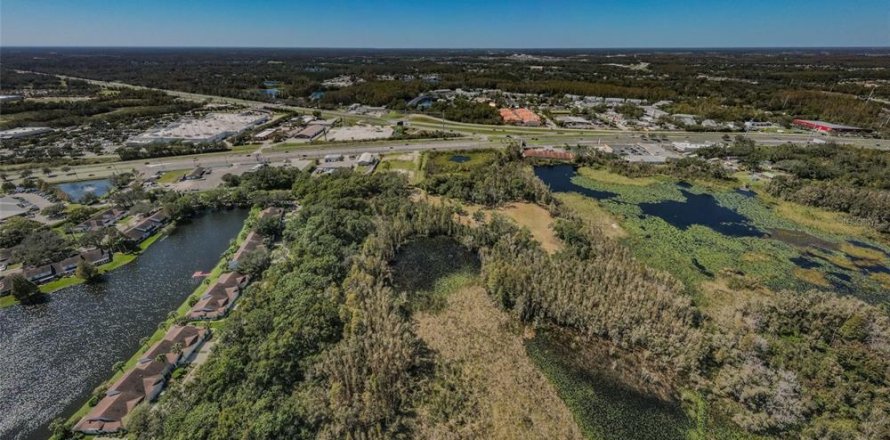 Terreno en Lutz, Florida № 1421281