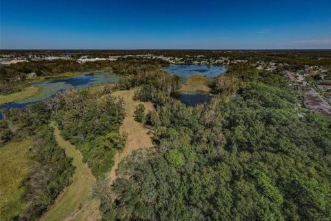 Terreno en venta en Lutz, Florida № 1421281 - foto 8