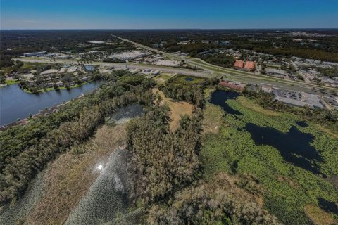 Terreno en venta en Lutz, Florida № 1421281 - foto 4