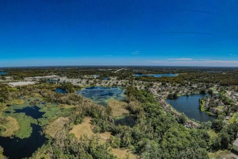 Terreno en venta en Lutz, Florida № 1421281 - foto 10