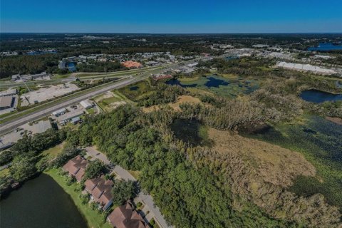 Terreno en venta en Lutz, Florida № 1421281 - foto 14