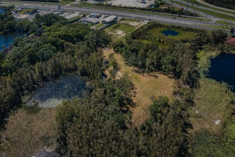 Terreno en venta en Lutz, Florida № 1421281 - foto 5