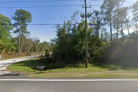 Land in Orlando, Florida № 2160409 - photo 4
