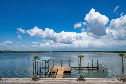 House in Clearwater, Florida 5 bedrooms, 503.62 sq.m. № 2110458 - photo 28