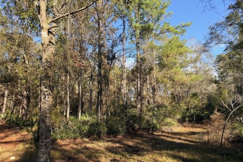 Terrain à vendre à Chiefland, Floride № 2091574 - photo 5