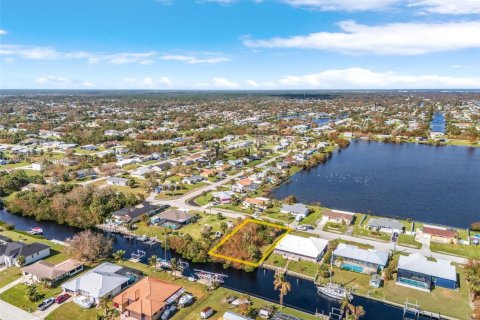 Land in Port Charlotte, Florida № 1819794 - photo 5