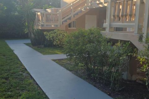 Appartement à louer à Cooper City, Floride: 2 chambres, 317.08 m2 № 2087872 - photo 11