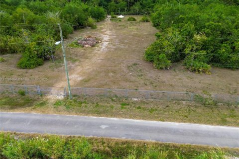 Propiedad comercial en venta en Homestead, Florida № 1863757 - foto 3
